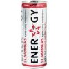 Energy slammers 